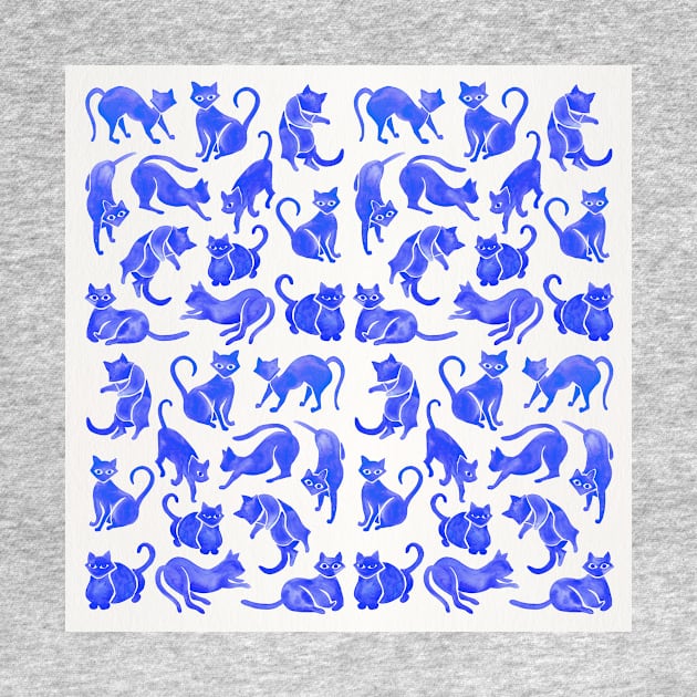 blue cat positions by CatCoq